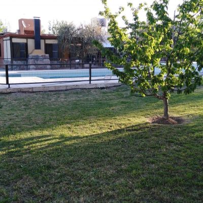 Alquiler cabañas terra olivo en maipu