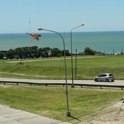 Alquiler departamento vista al mar en mar del plata