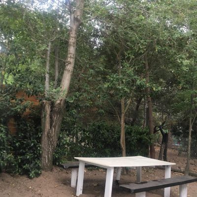 Alquiler complejo bosque soñado en monte hermoso