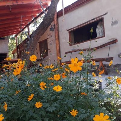 Alquiler cabaña paraiso colla en collagasta