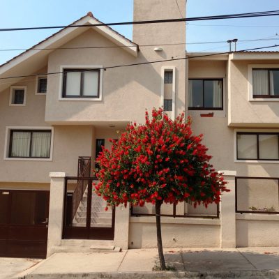 Alquiler alquiler liliana en villa carlos paz