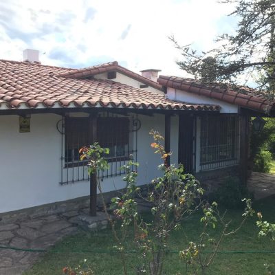 Alquiler las margaritas en la falda