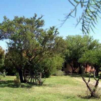 Alquiler complejo alpiedelchampaqui en los molles (san javier)
