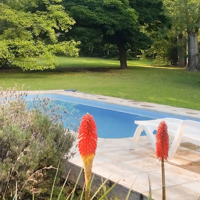 Alquiler casa sol de vistalba en lujan de cuyo
