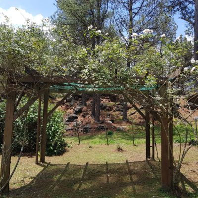 Alquiler cabaña abuelo rafa en villa berna