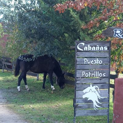 Alquiler cabañas puesto potrillos en villa yacanto de calamuchita