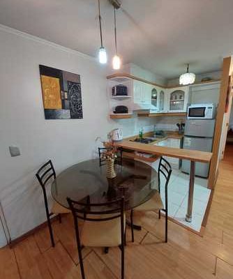 Depto 2 dormit. para 2/3 persons, centro santiago $45.000 dias-semanas