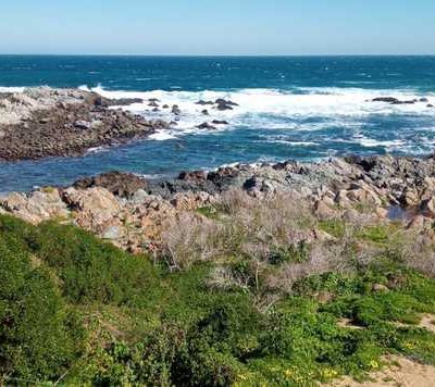 Arriendo casa playa el tabo para 20 personas