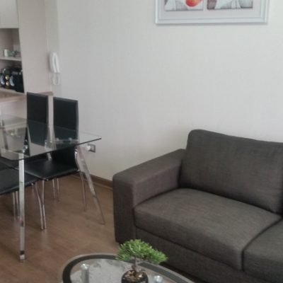 Pucón, 2023, hermoso departamento!