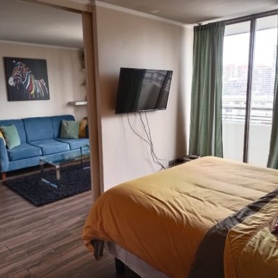 Arriendo departamento por dias. aparthotel barrio lastarria. metro santa lucia. metro bellas artes