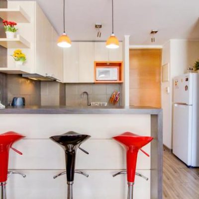 Departamentos santiago centro . de 1 a 6 personas.