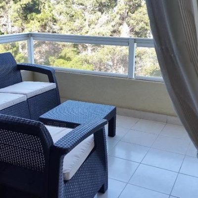 Pinares del canelillo, algarrobo