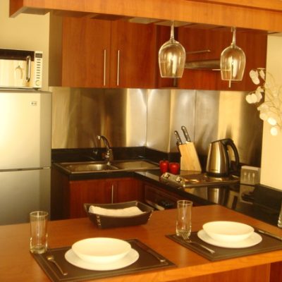 Hermoso depto providencia,