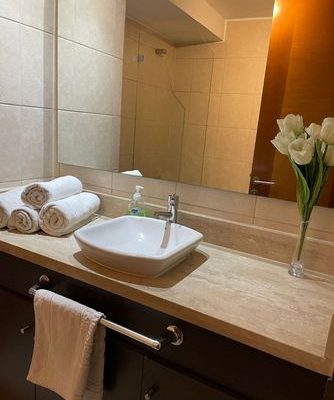 Arriendo loft por dia en el corazon de providencia