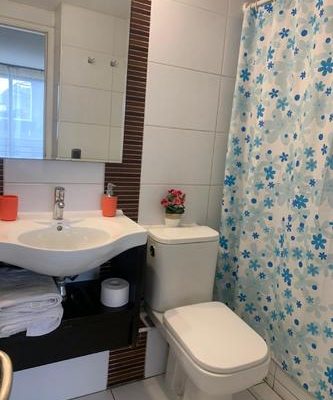 Arriendo de departamentos amoblados en providencia