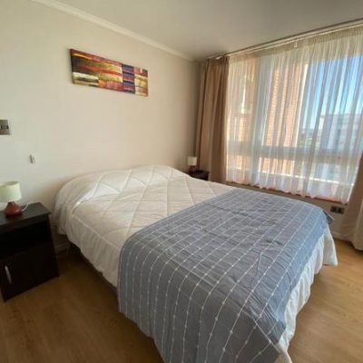 Arriendo diario/semanal amoblado