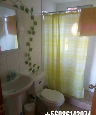 Arriendo cabaña en villarrica