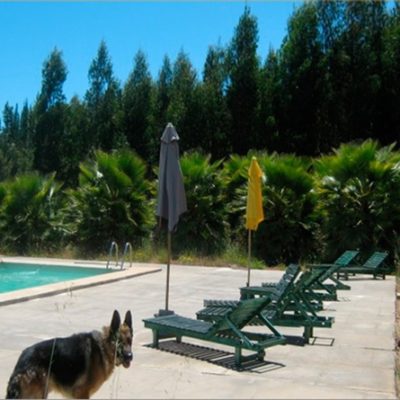 Parcela – cabaña el mijo – constitucion – celular : 9-9498-8984 ( edmundo )