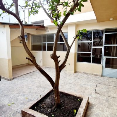 Hermosa casa ph equipada y con patio. a estrenar