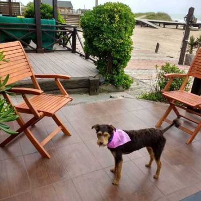 Alquilo hermoso duplex en gesell frente al mar.5 personas vacaciones de invierno
