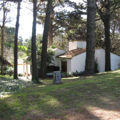 Casa integrada al bosque de valeria