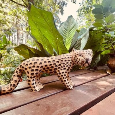 Casa jaguar