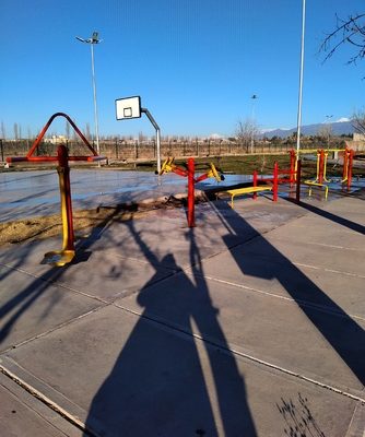 Duplex nordico
