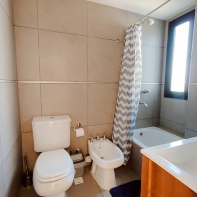 Andes fueguino. estudio a estrenar en el centro de ushuaia