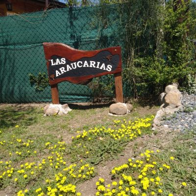 Las araucarias