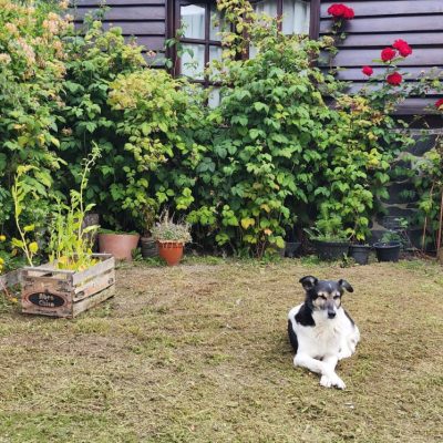 La casa de frida