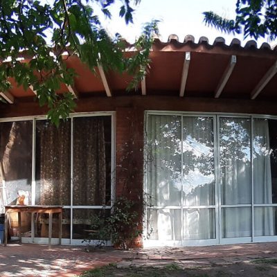 El espinillo