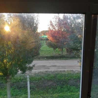 Mi casa en lobos