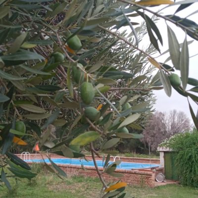 Posada finca halnasan