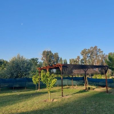 Casa verde