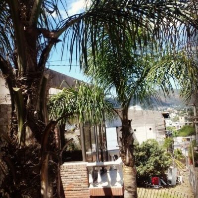 Casa maravilla⚜️