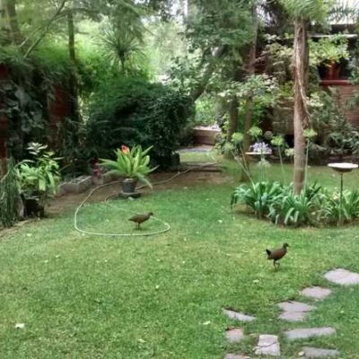 El escondite del bosque, un lugar muy especial