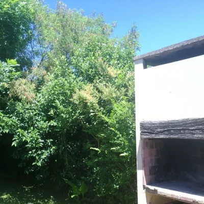 Cabaña-loft en valeria del mar